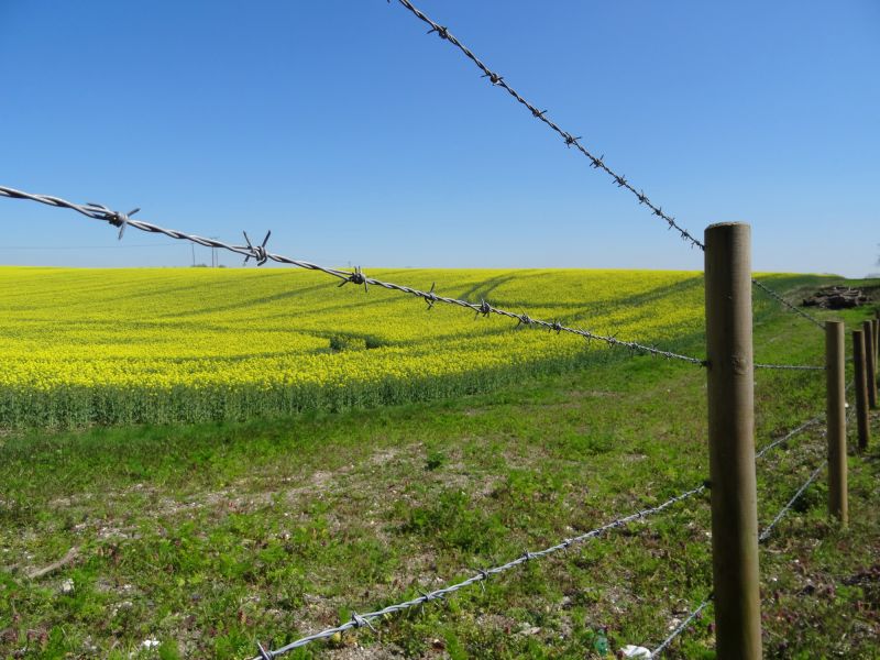 Horse Fence Replacement