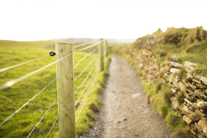 How A Fence Adds Privacy, Security, And Curb Appeal